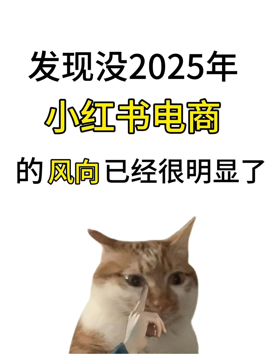 感觉25年的电商方向已经很明确了……