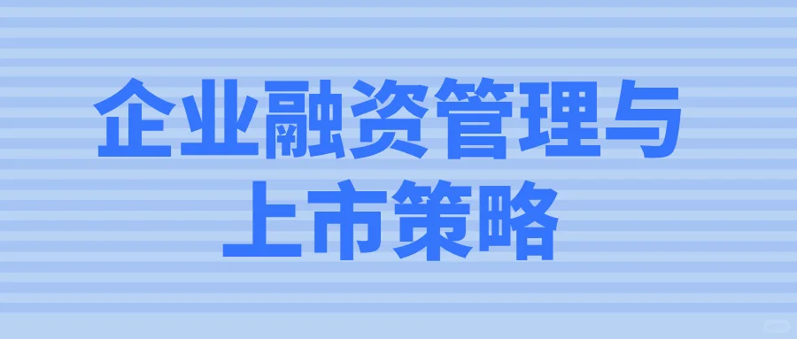 企业融资管理与上市策略