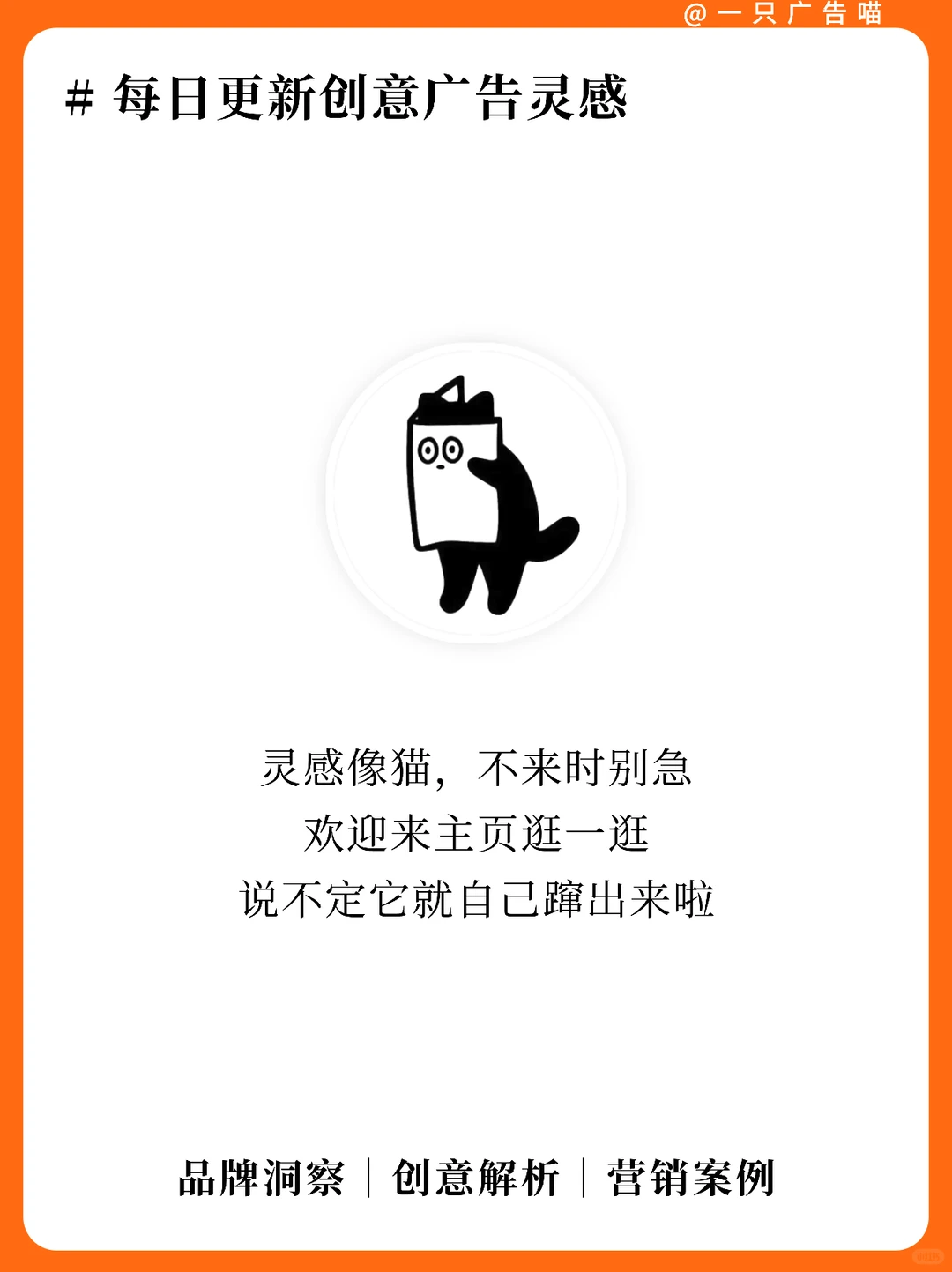 Bololo品牌洞察✨用科学育儿打动新生家庭