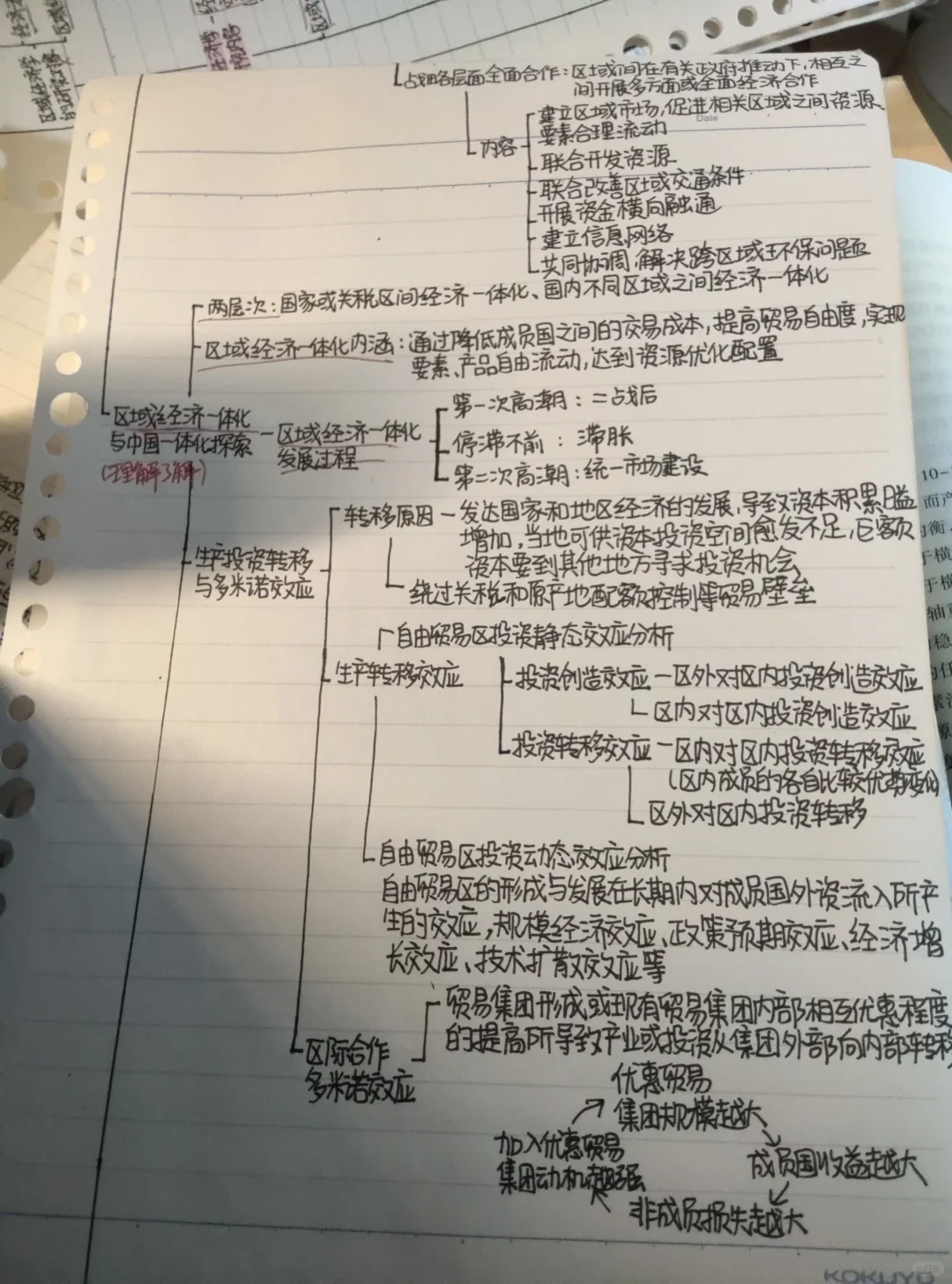 区域经济学期末重点分享 去年96