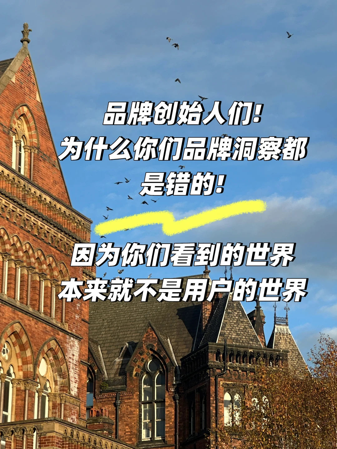 为什么99%品牌的洞察都是错的?