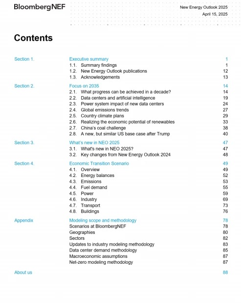 2025年新能源市场长期展望报告