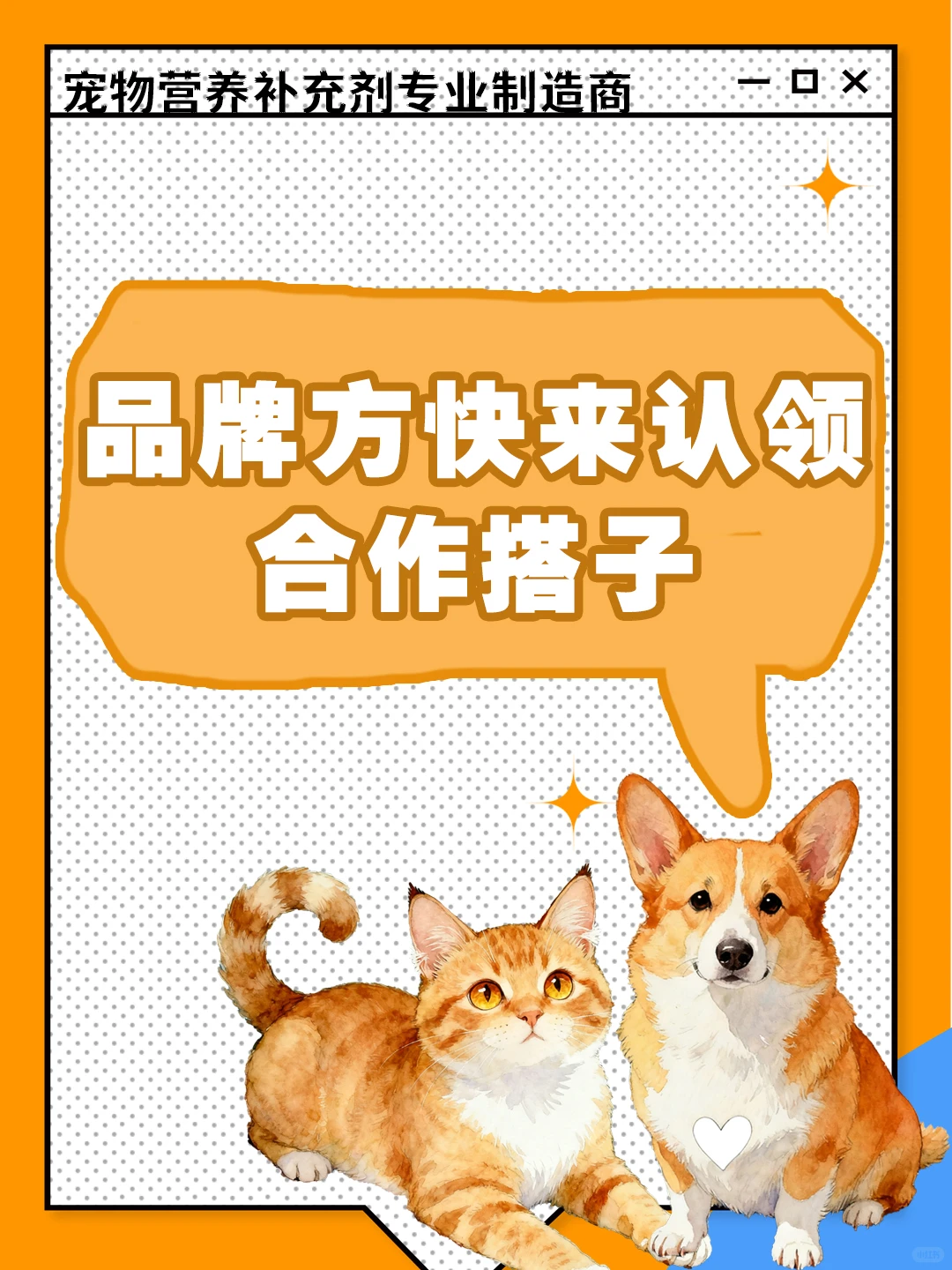 宠物保健品代工天花板！安全到放心给毛孩吃