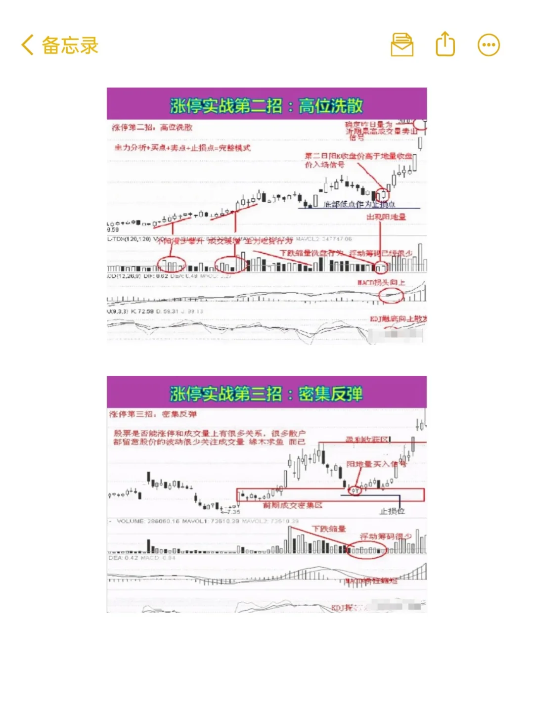 用最笨最简单的炒股方法，只买一种股票