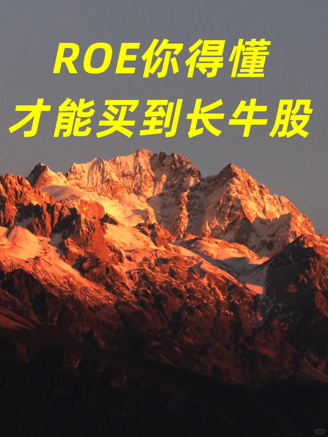 巴菲特:如果只用一个指标选股,我选ROE
