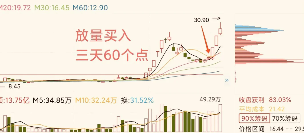 龙头股抢反弹，一月搞一次，简单高效！