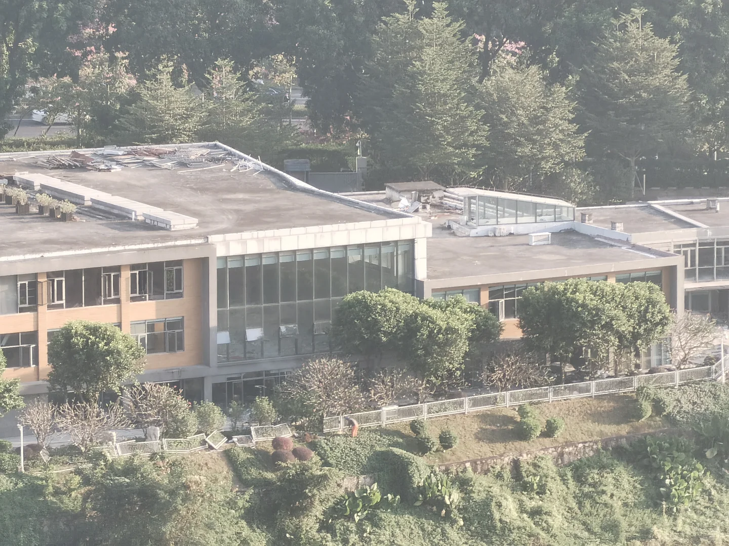 香蜜湖工程观察?