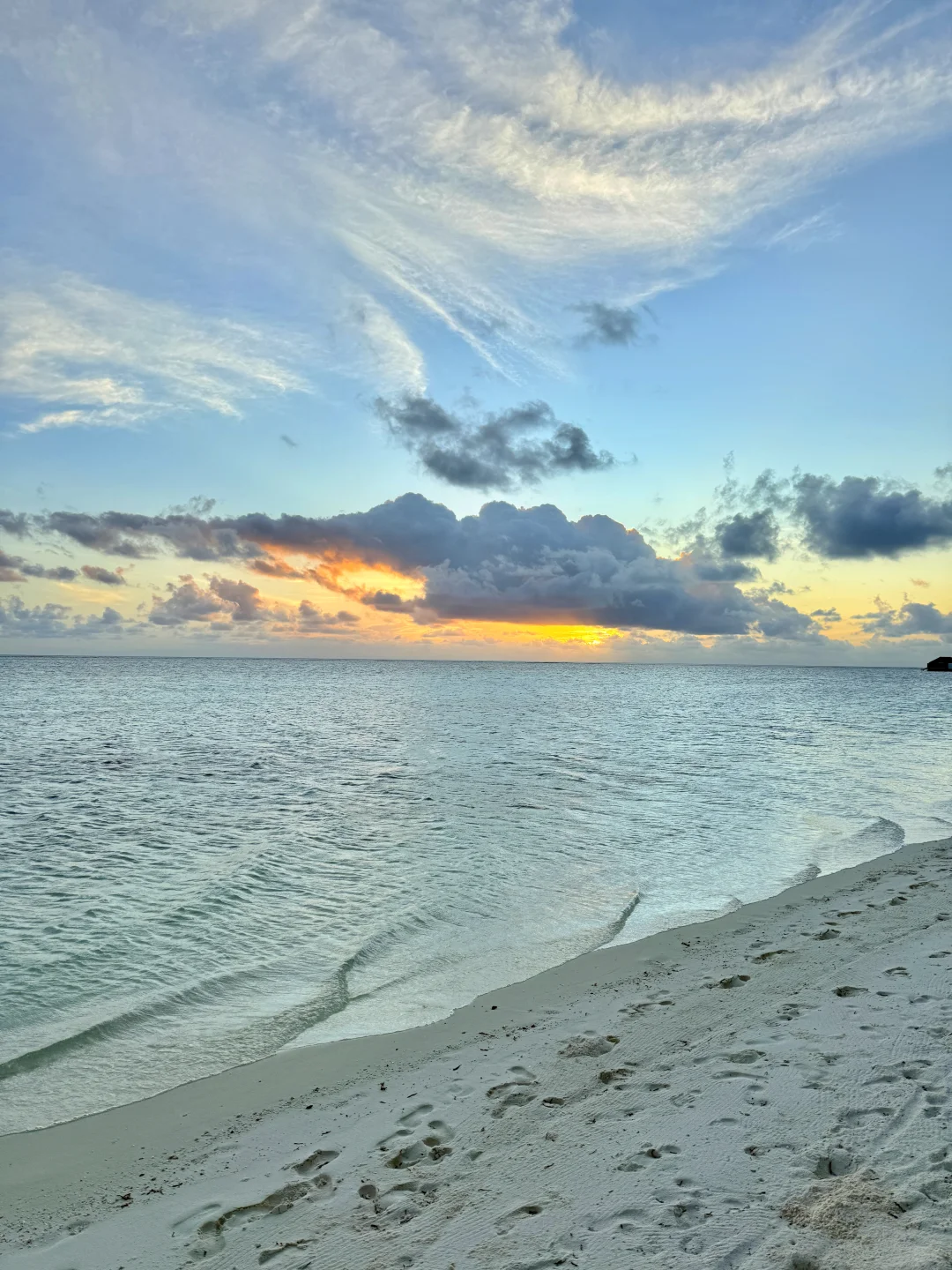 高H报的好股票怎么找到?