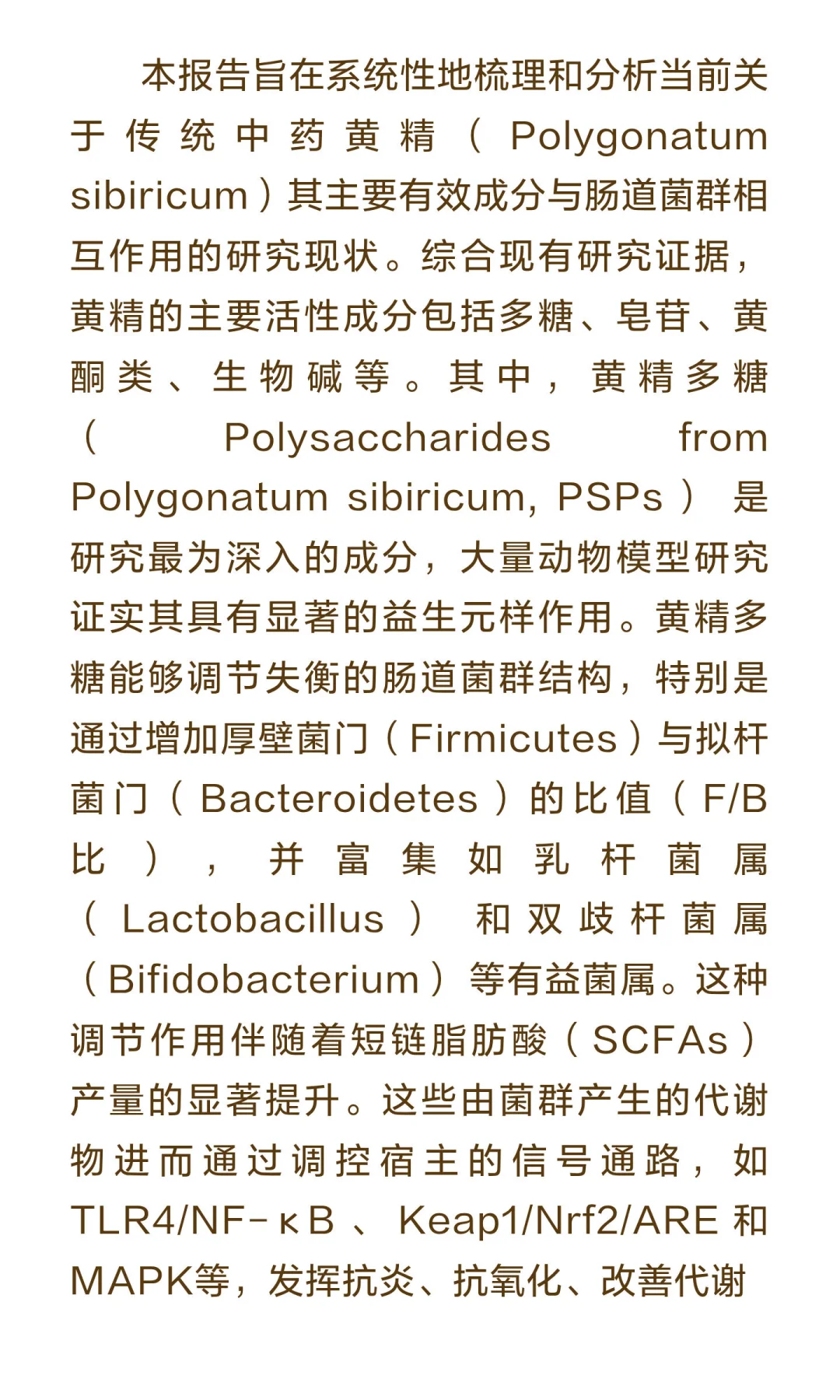 第 6 期-黄精与肠道菌群研究报告