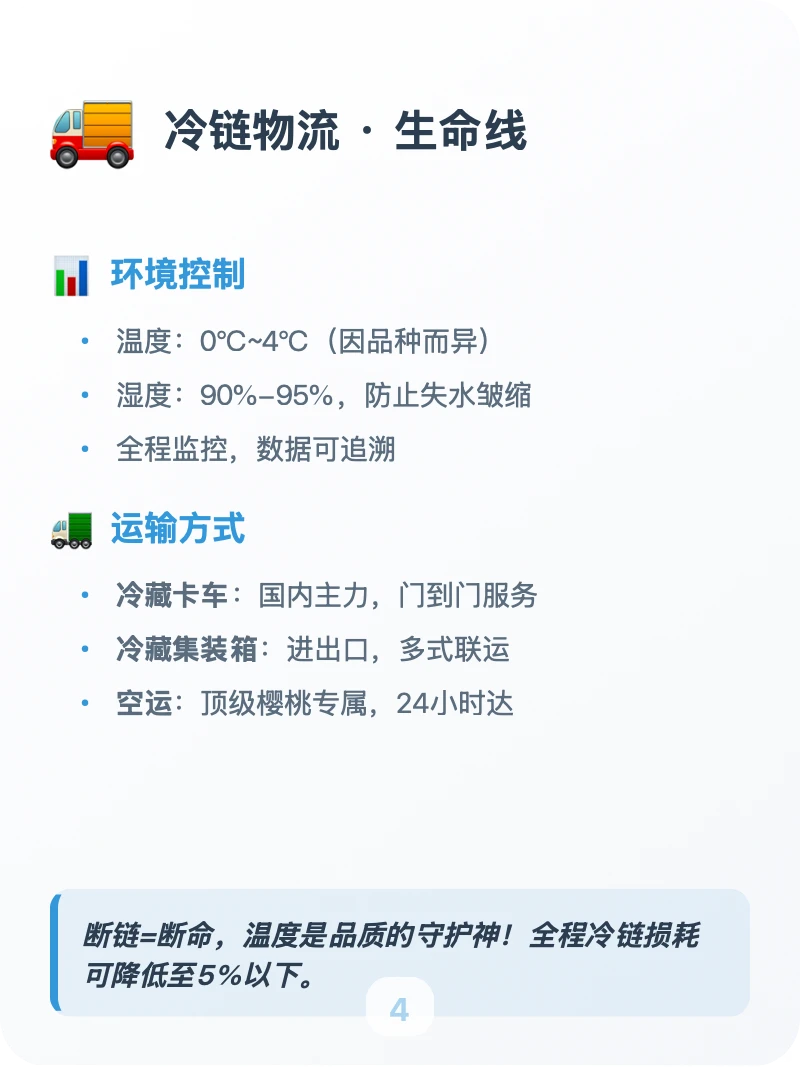 每天吃透一条供应链「核果类」?