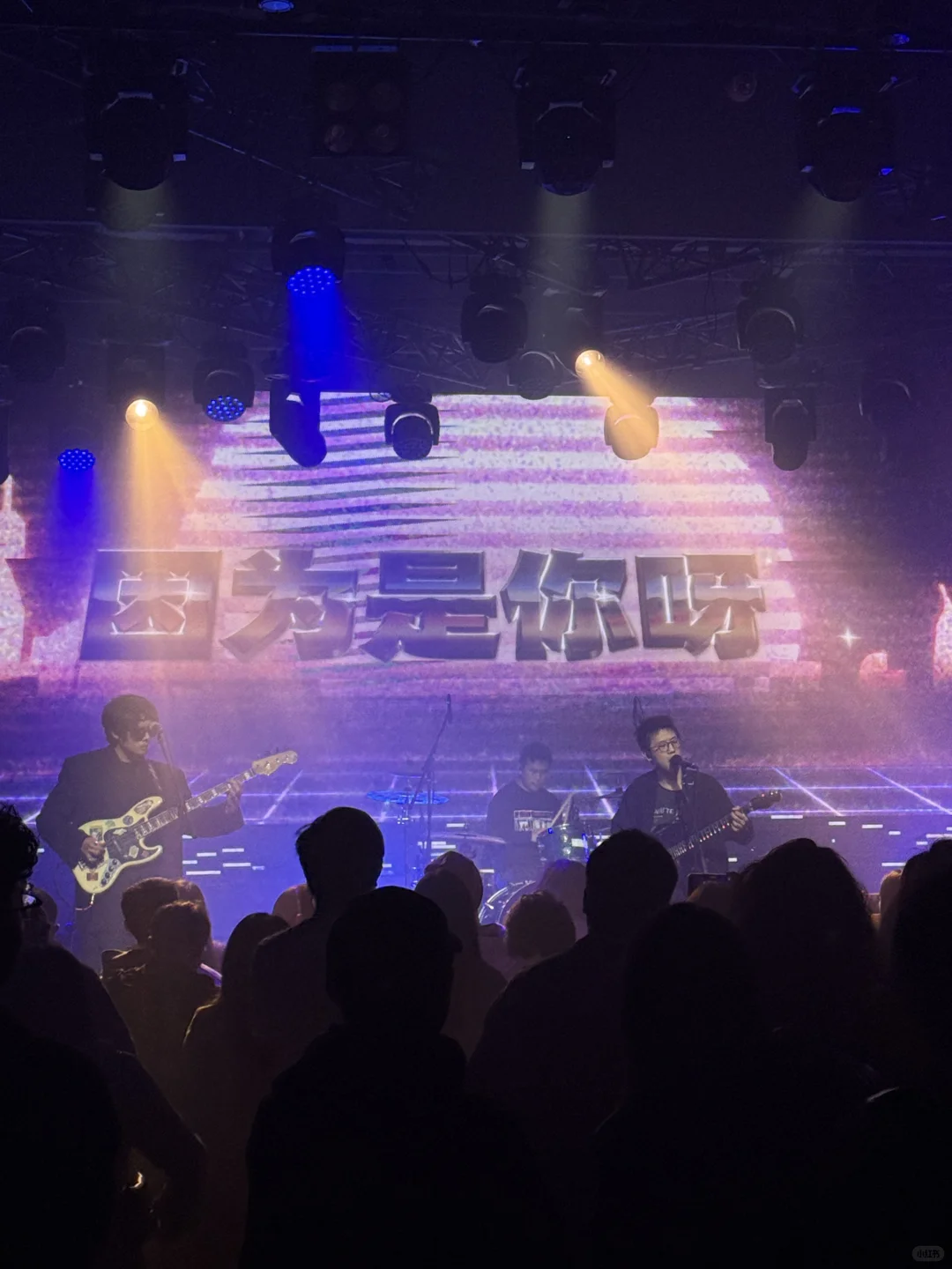 ▫️白皮书乐队巡演2025｜杭州