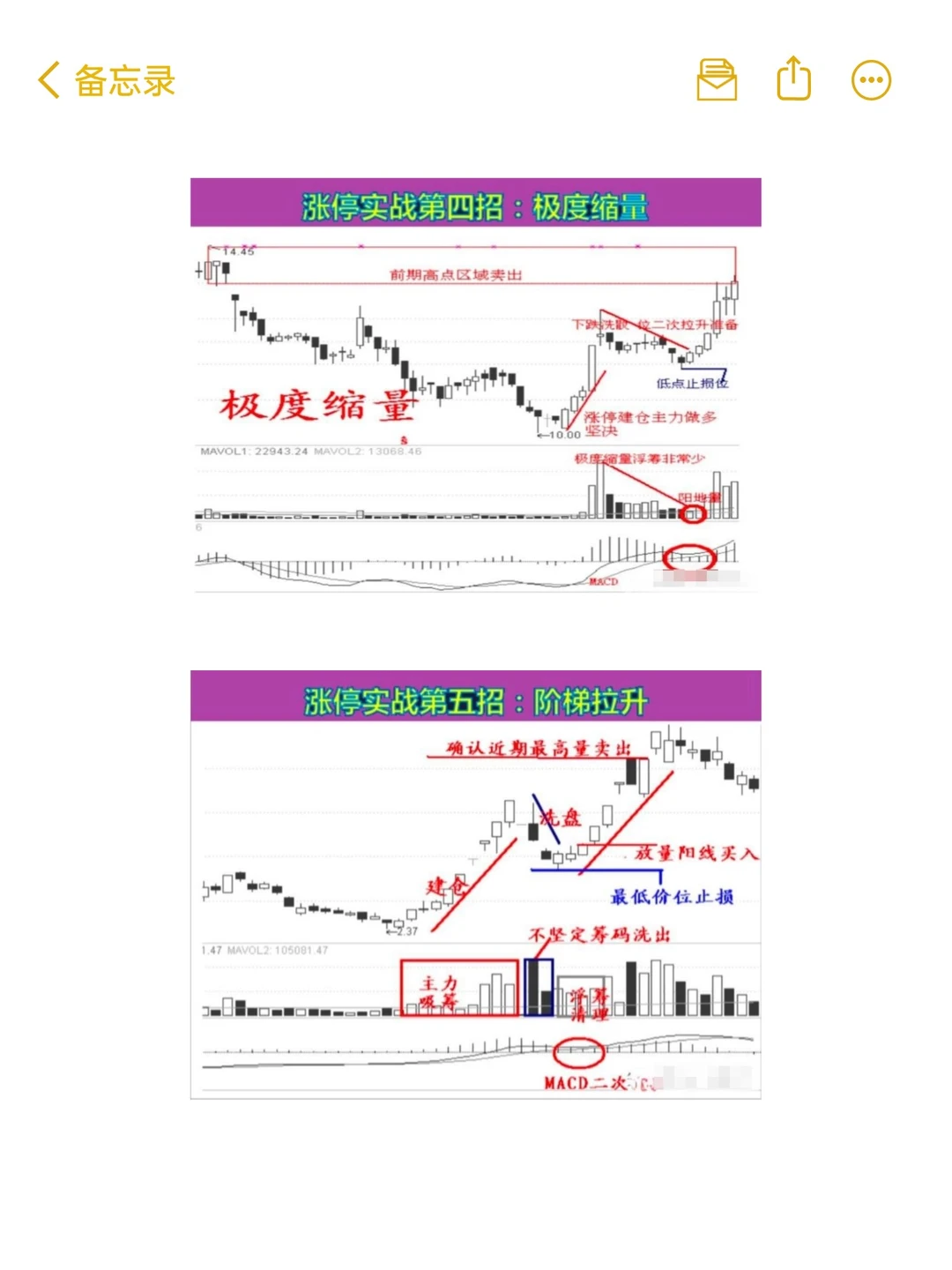 用最笨最简单的炒股方法，只买一种股票