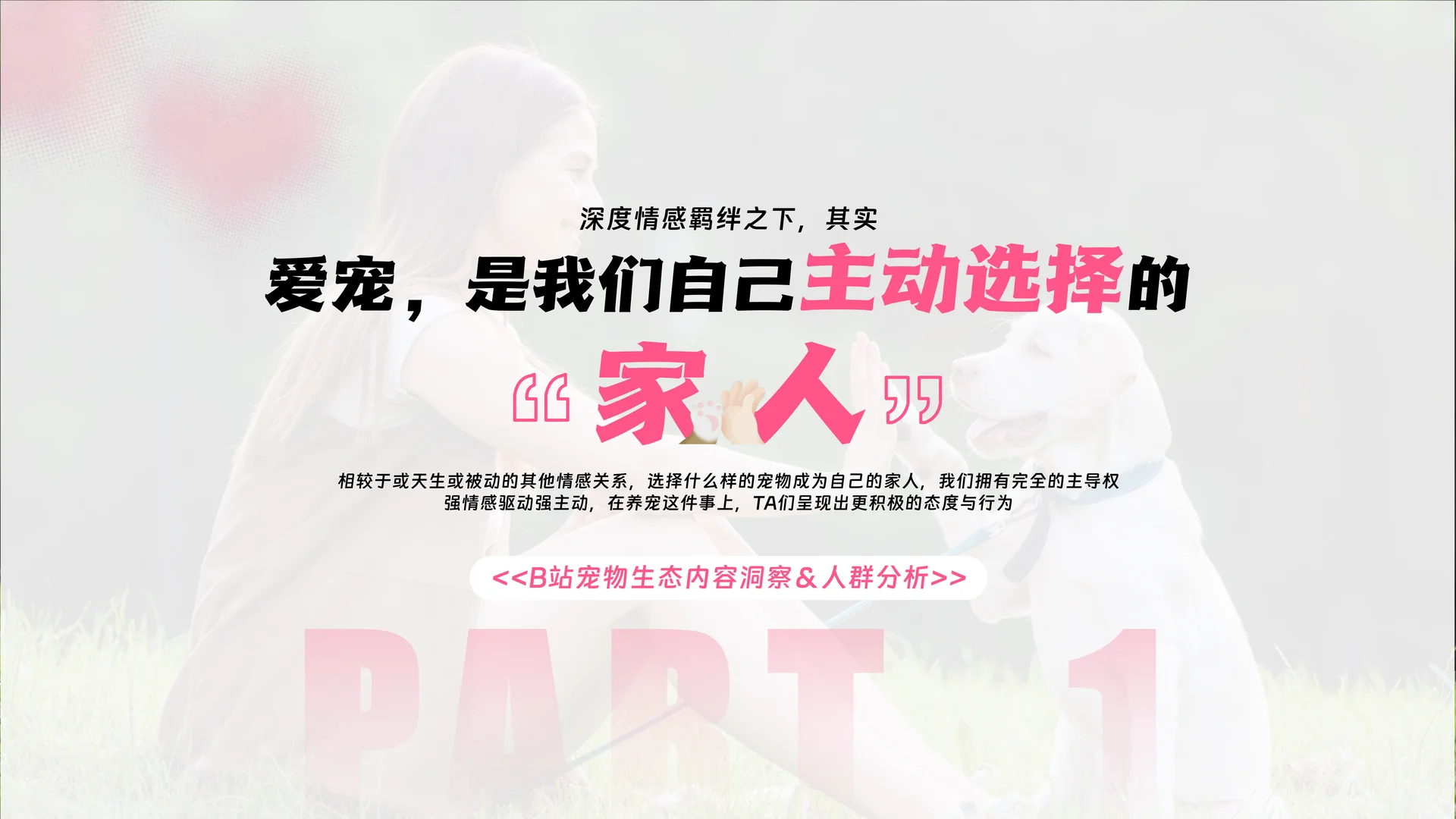 哔哩哔哩2025年宠物行业营销通案 | 24页