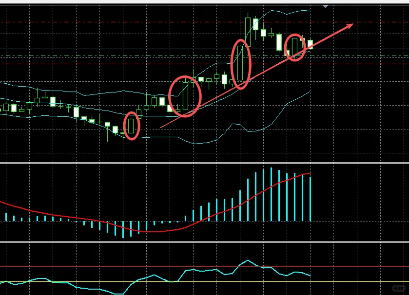 挑战10000笔交易，目前177笔