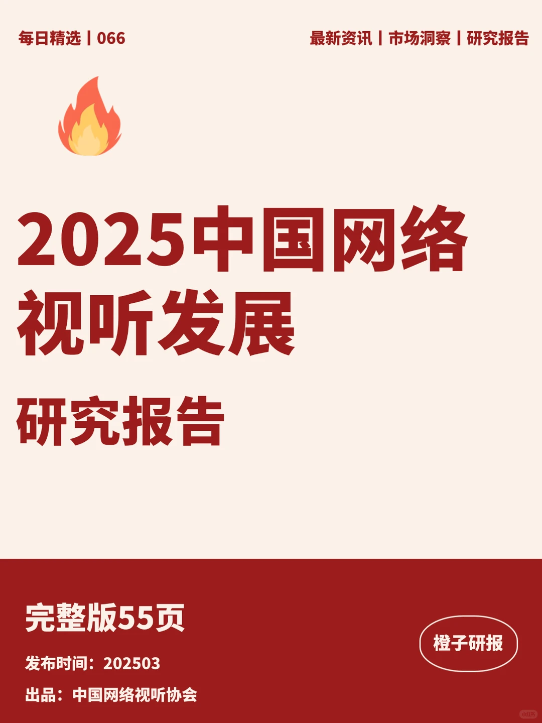 2025中国网络视听发展研究报告