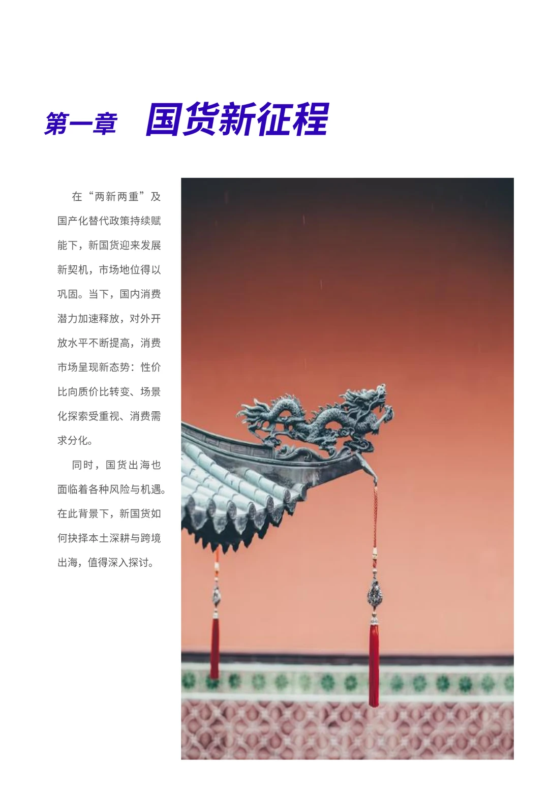 49页|2025新国货CoolTop100品牌榜