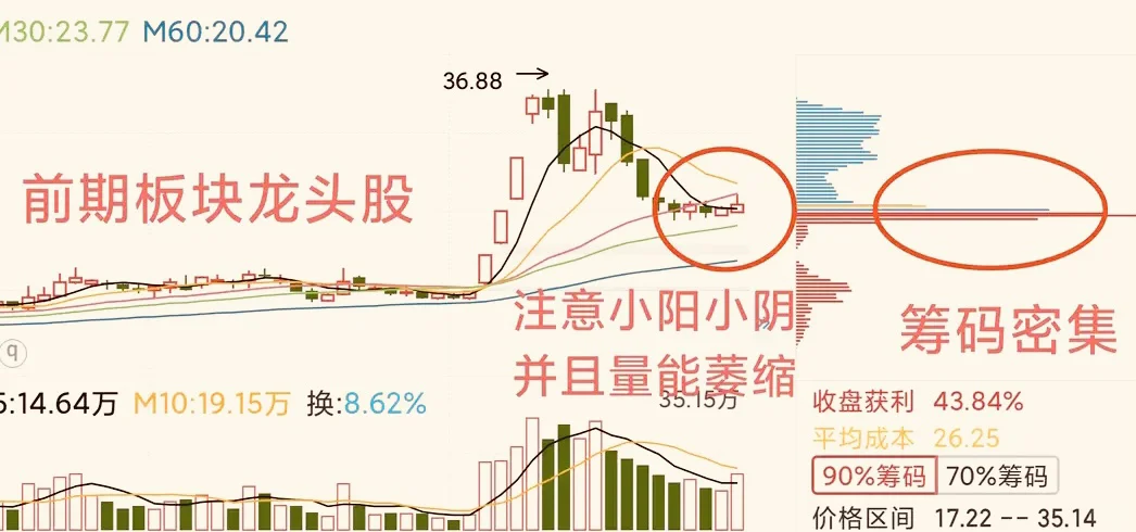 龙头股抢反弹，一月搞一次，简单高效！