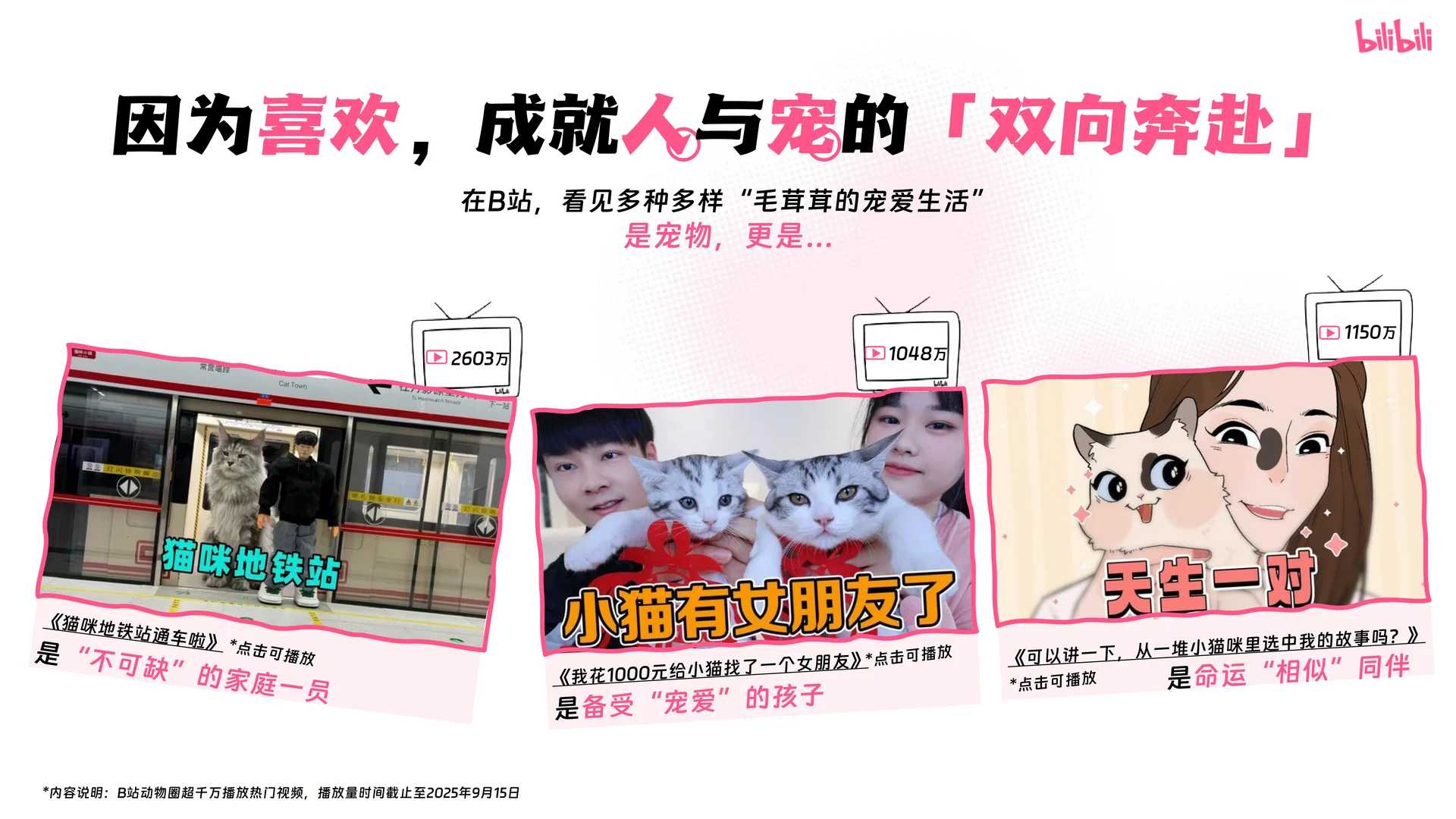 哔哩哔哩2025年宠物行业营销通案 | 24页