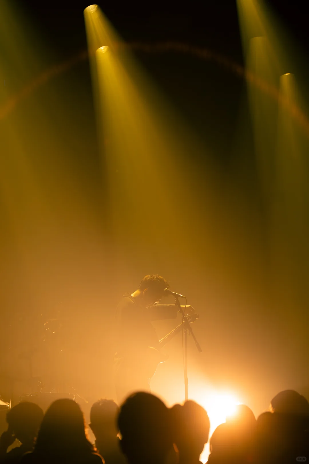 白皮书乐队上海站演出