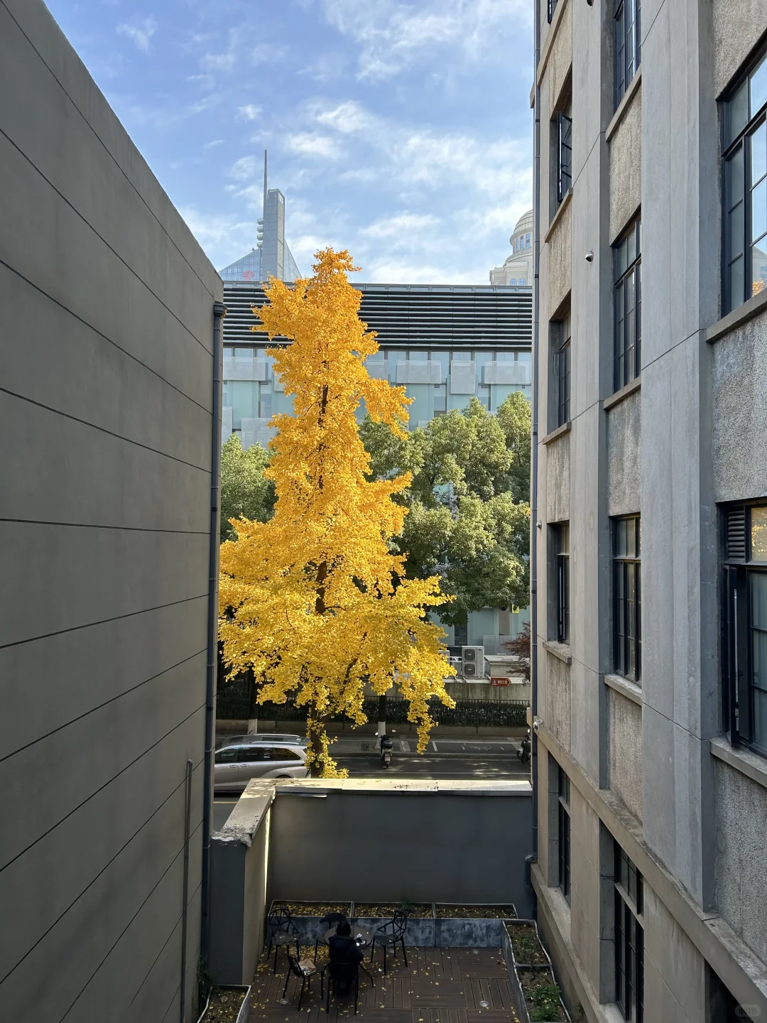 到了想买相机的季节