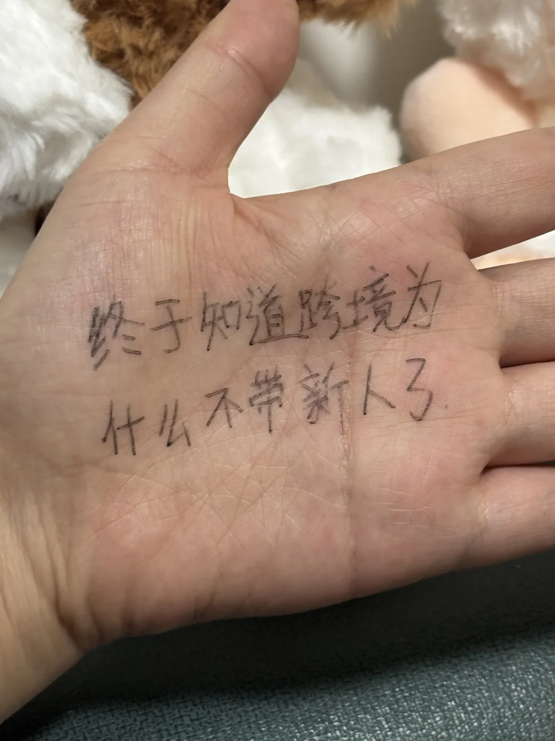 我：终于知道跨境为什么不带新人了