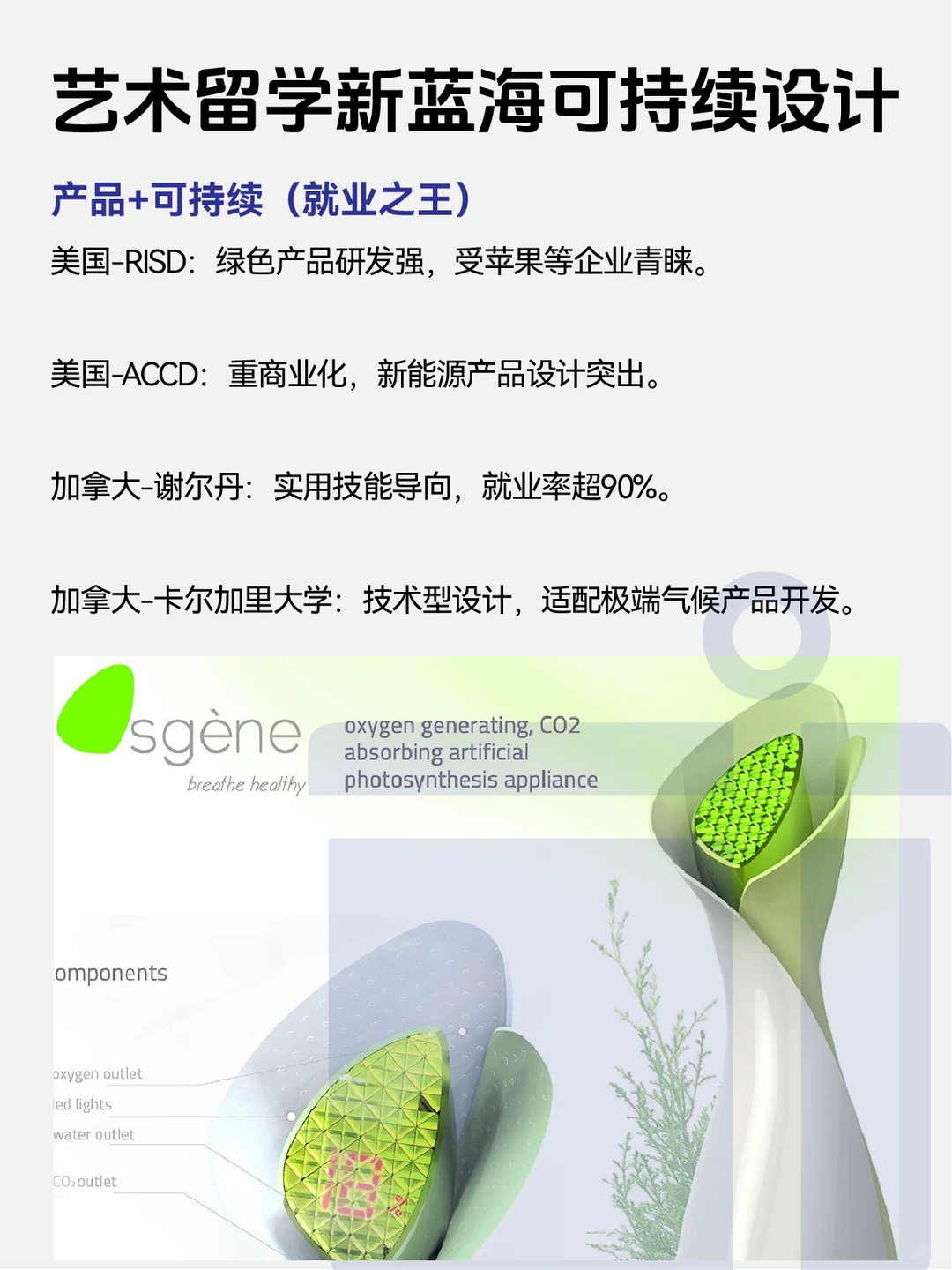 艺术留学作品集｜可持续设计才是新风口！