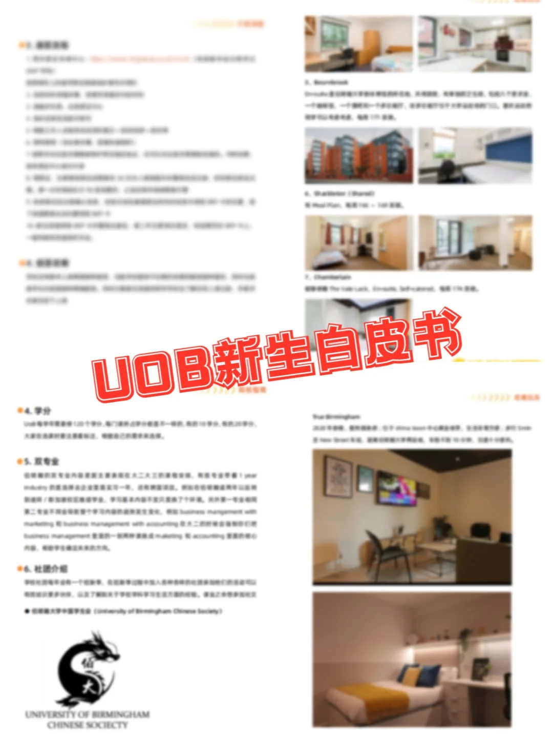 人手一份的万字伯大新生白皮书，谁还没有！