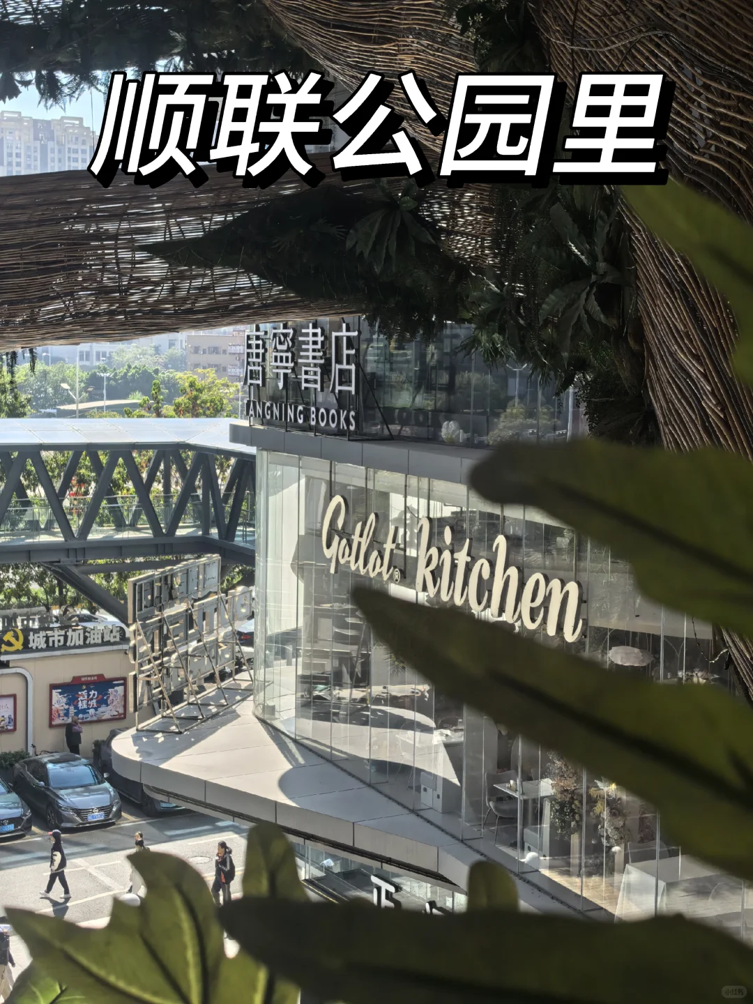 【李某商业笔记】南海顺联公园里