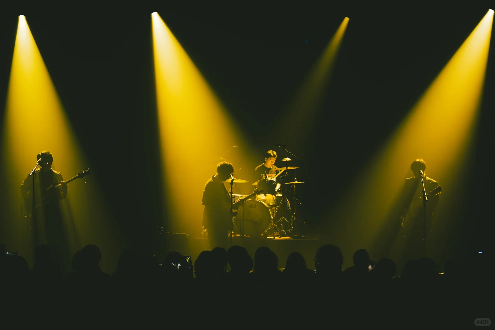 白皮书乐队上海站演出