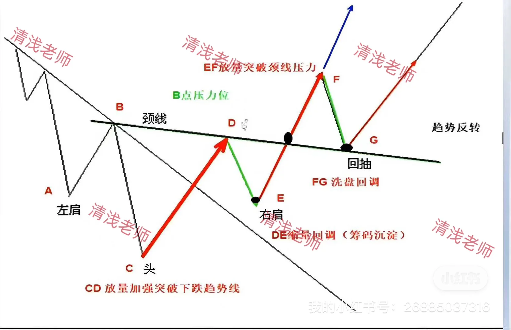 清浅老师趋势交易—头肩底
