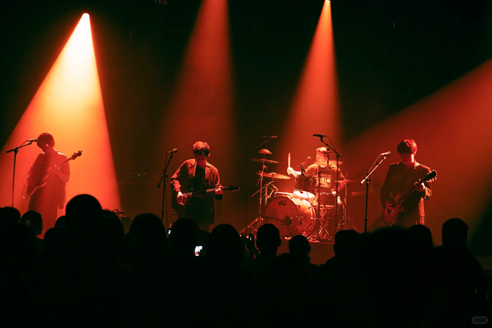 白皮书乐队上海站演出