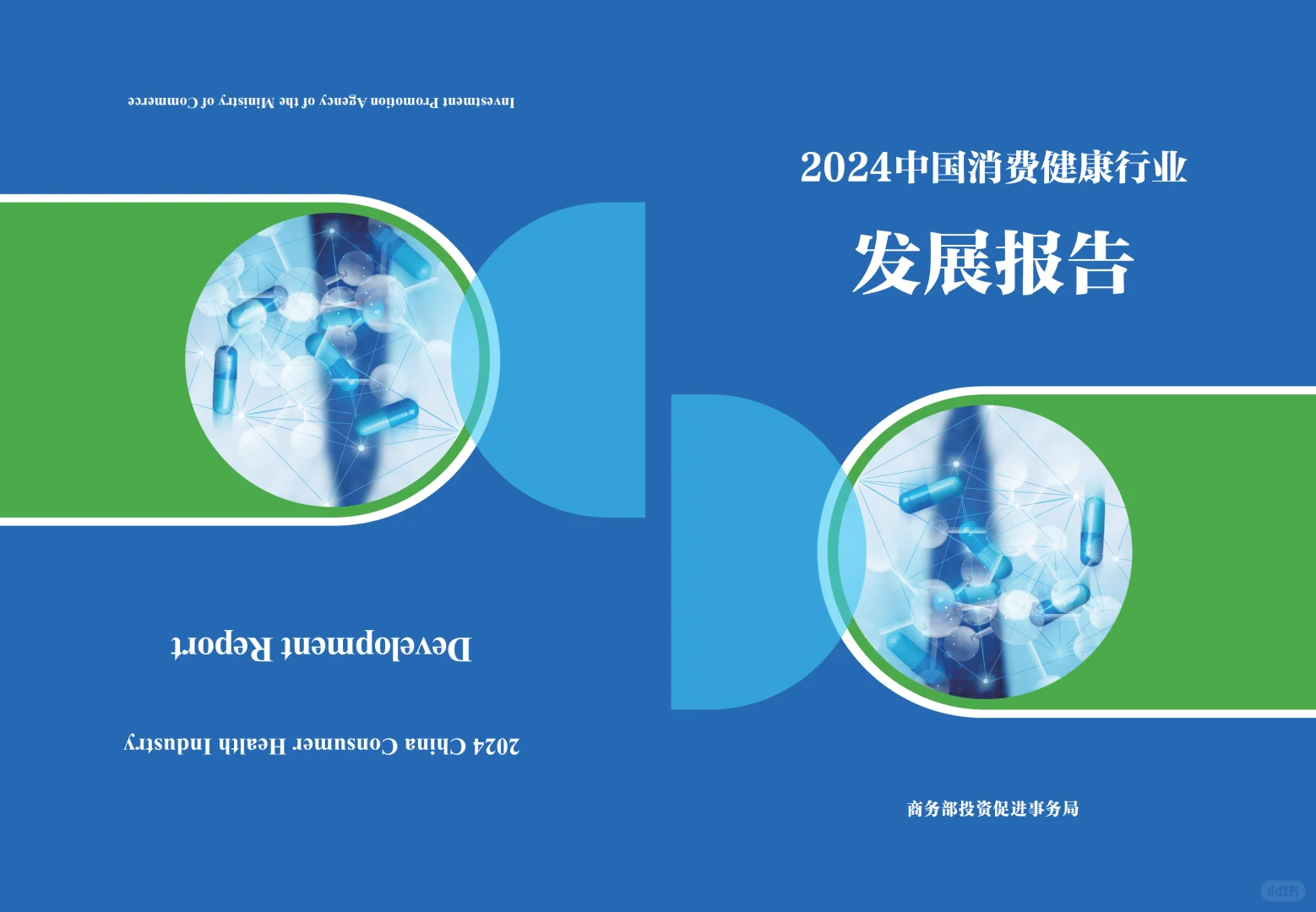 2024中国消费健康行业发展报告