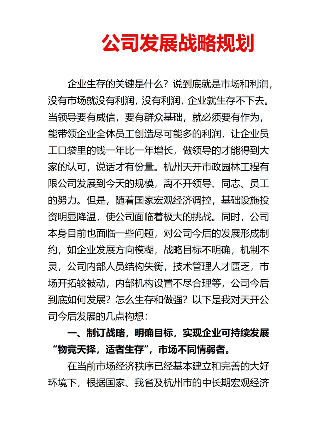 公司发展战略规划