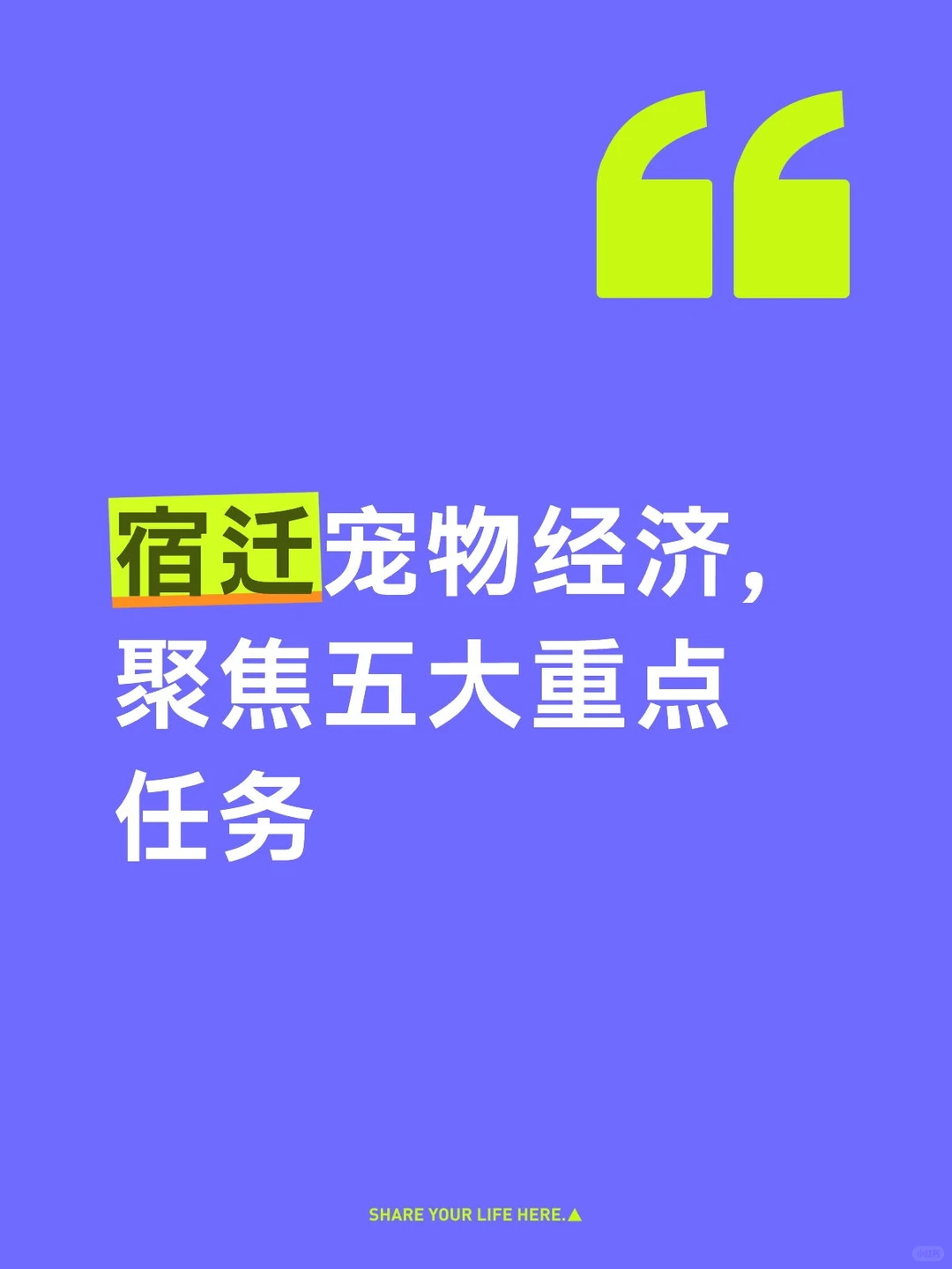 宿迁宠物经济规模直指500亿元