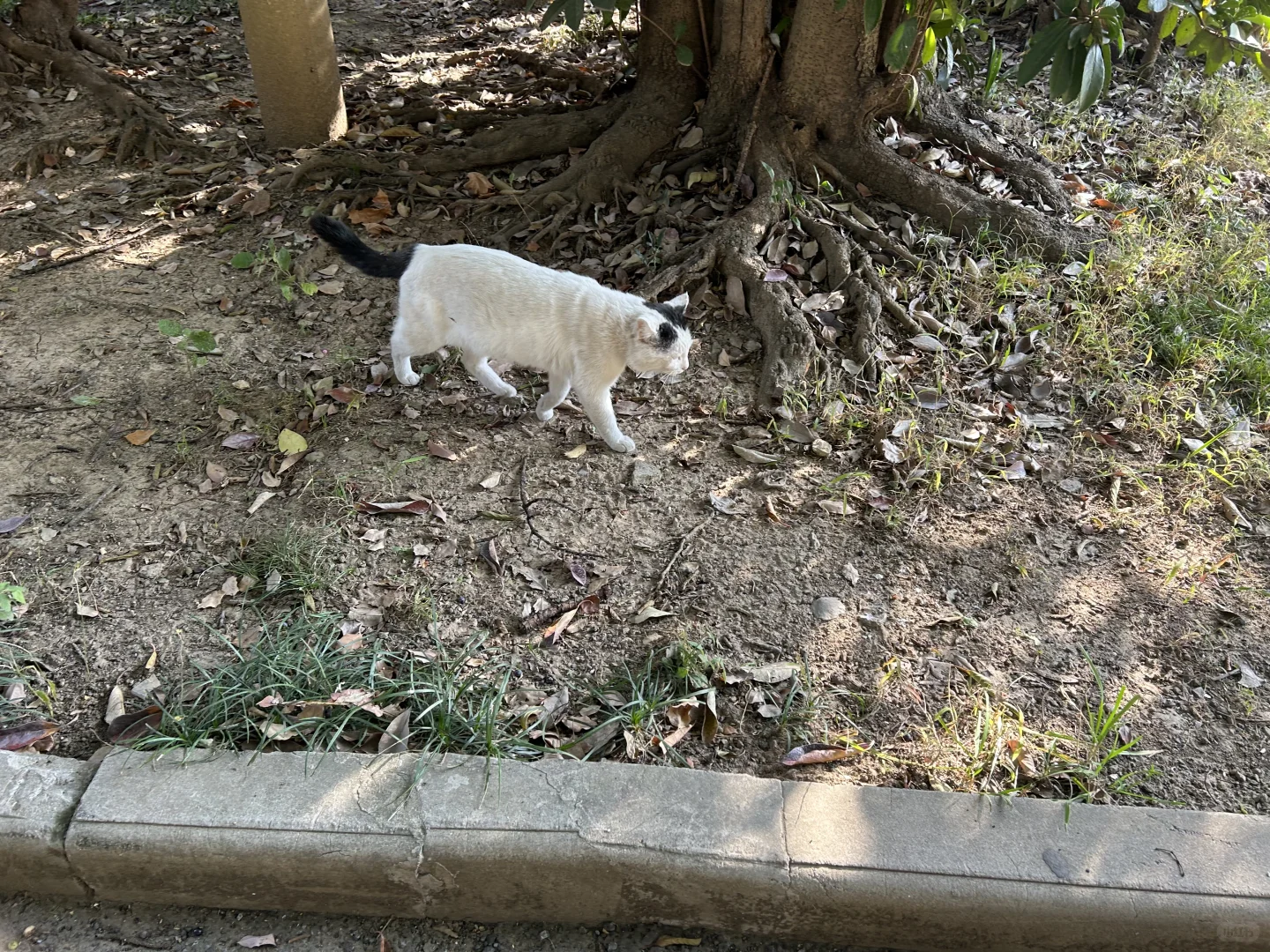 到了想买相机的季节
