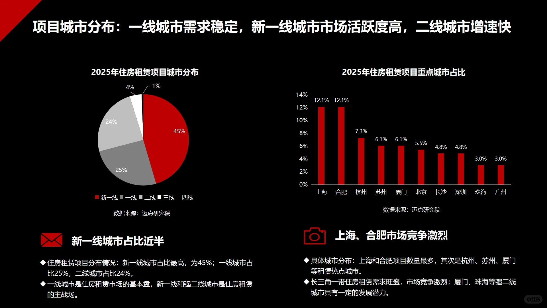 2025中国住房租赁项目运营分析报告