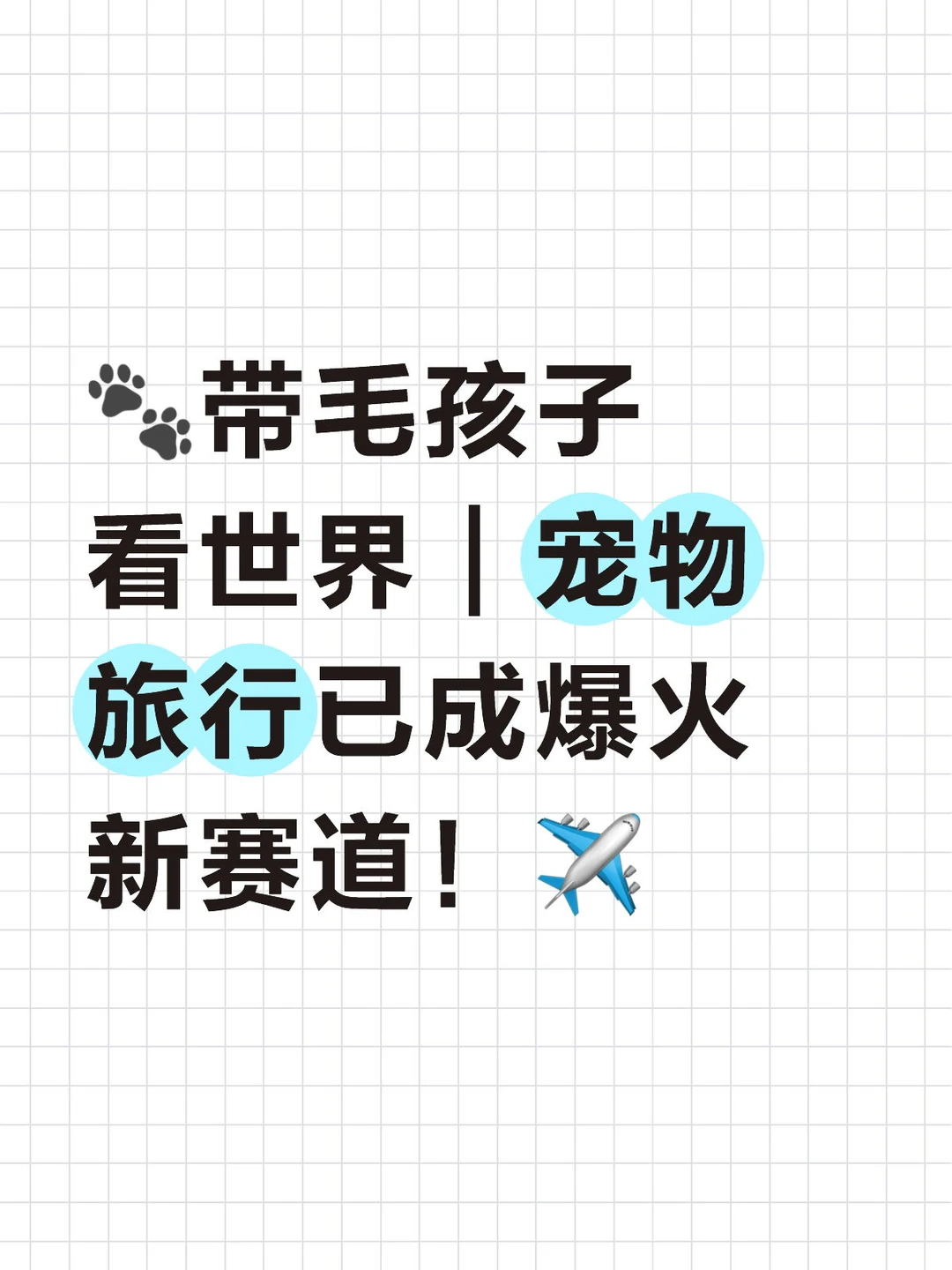 ?带毛孩子看世界｜宠物旅行已成爆火新赛道！