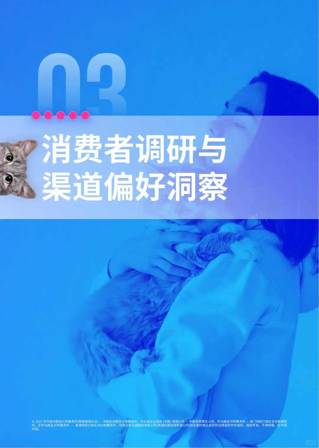 新消费-“它经济”的消费升级与市场洞察