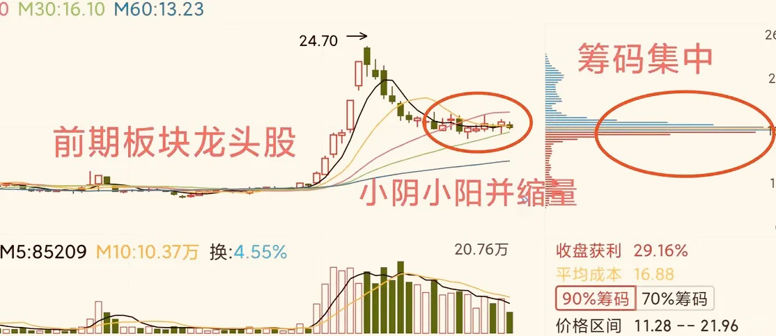 龙头股抢反弹，一月搞一次，简单高效！