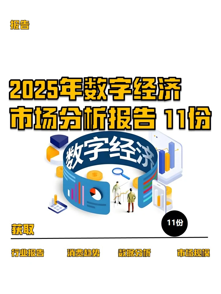 2025年数字经济市场分析报告（11份）