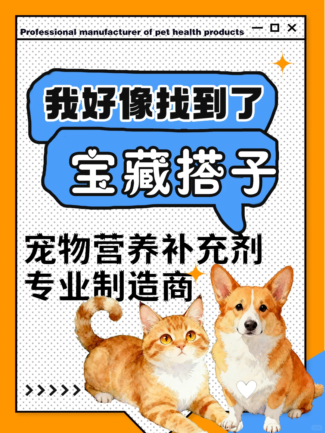 宠物保健品代工天花板！安全到放心给毛孩吃
