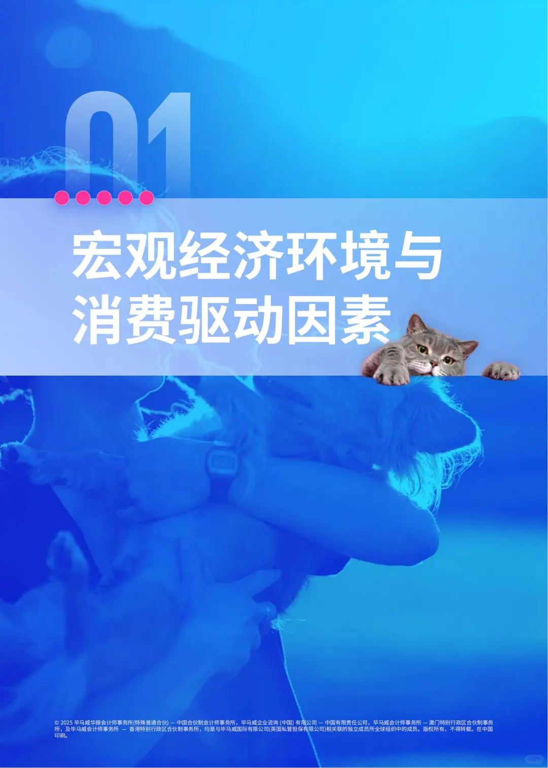 新消费-“它经济”的消费升级与市场洞察