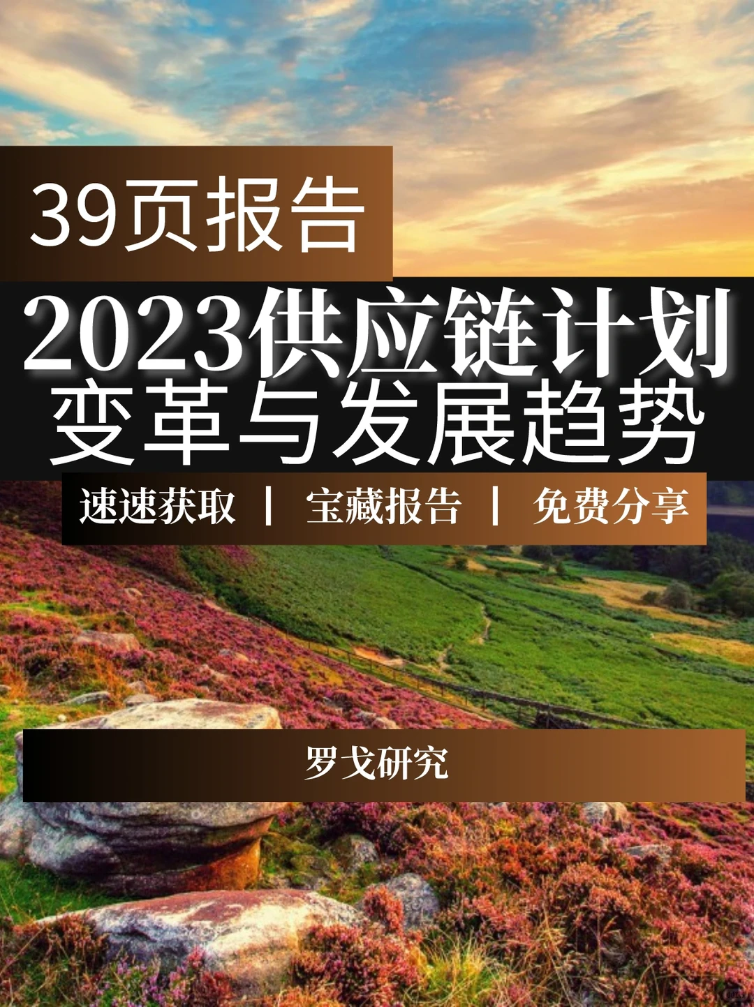 39页报告▏2023年供应链计划变革和发展趋势