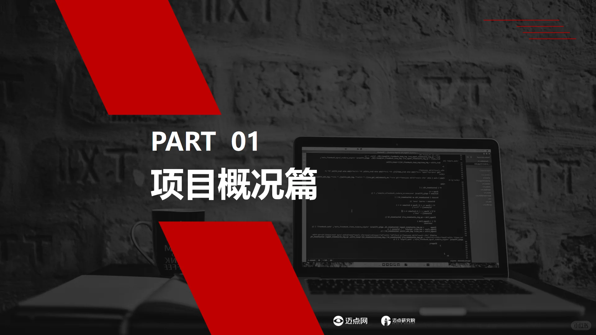 2025中国住房租赁项目运营分析报告