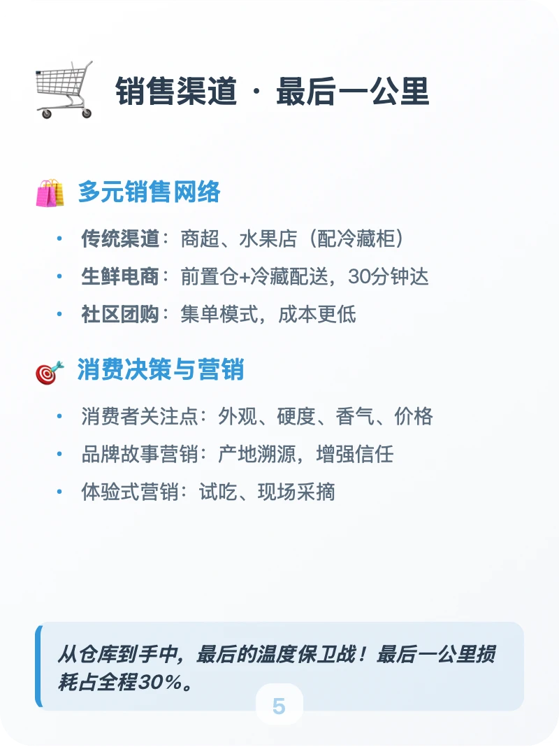 每天吃透一条供应链「核果类」?