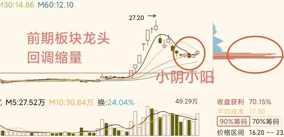龙头股抢反弹，一月搞一次，简单高效！
