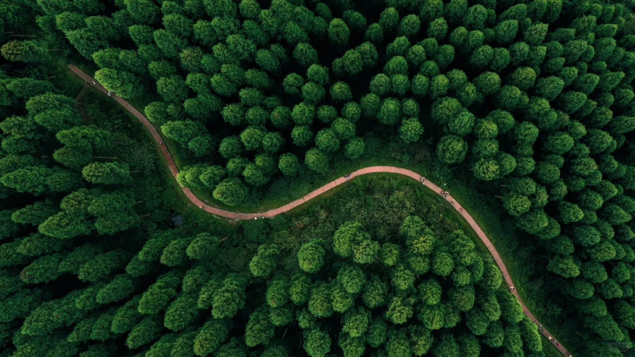 49页行业报告|2024年健康消费市场趋势