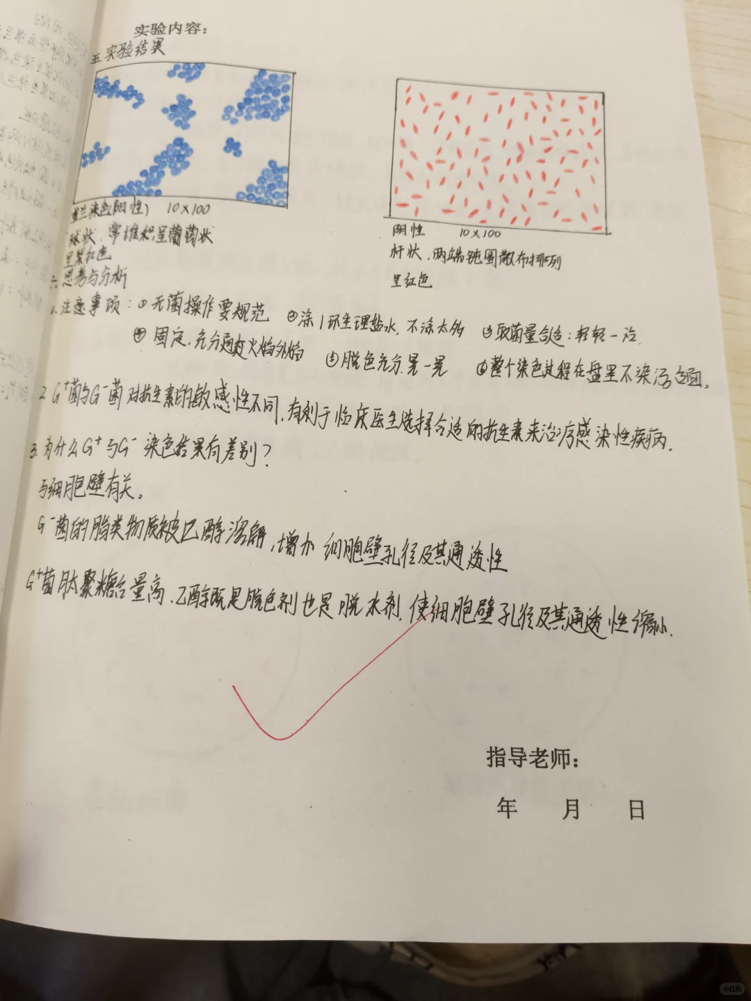 革兰染色与标本观察实验报告