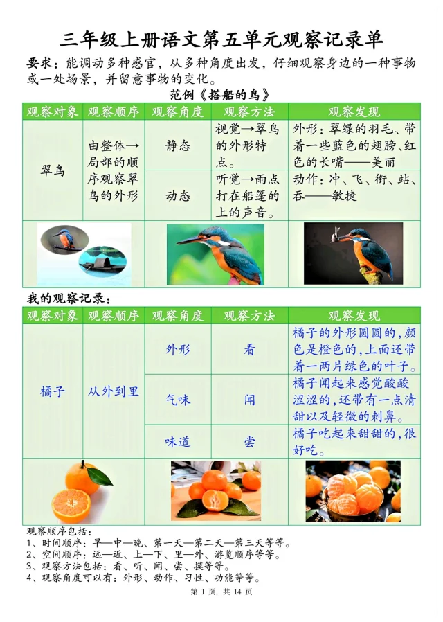 三上语文第五单元《观察记录单》14页打印版
