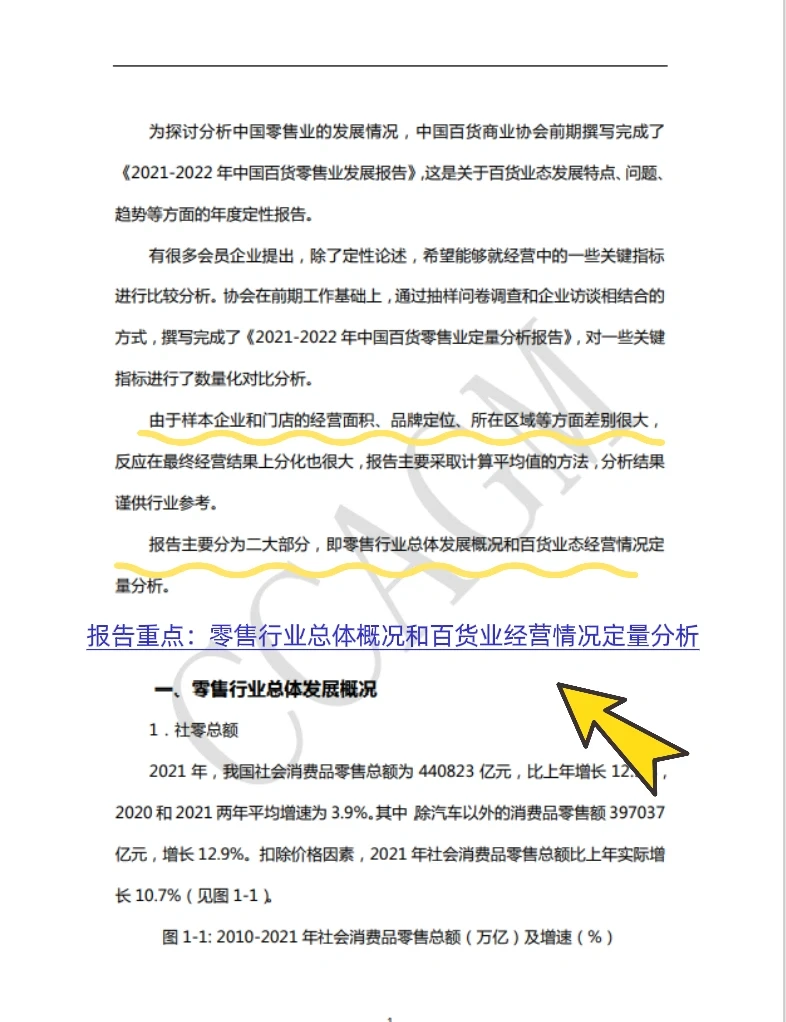 2021-2022年中国百货零售业定量分析报告